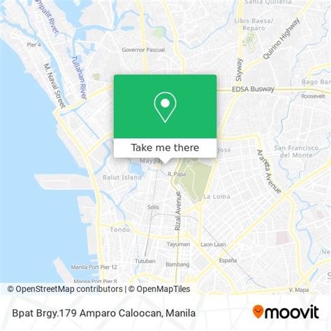 brgy 179 amparo caloocan zip code